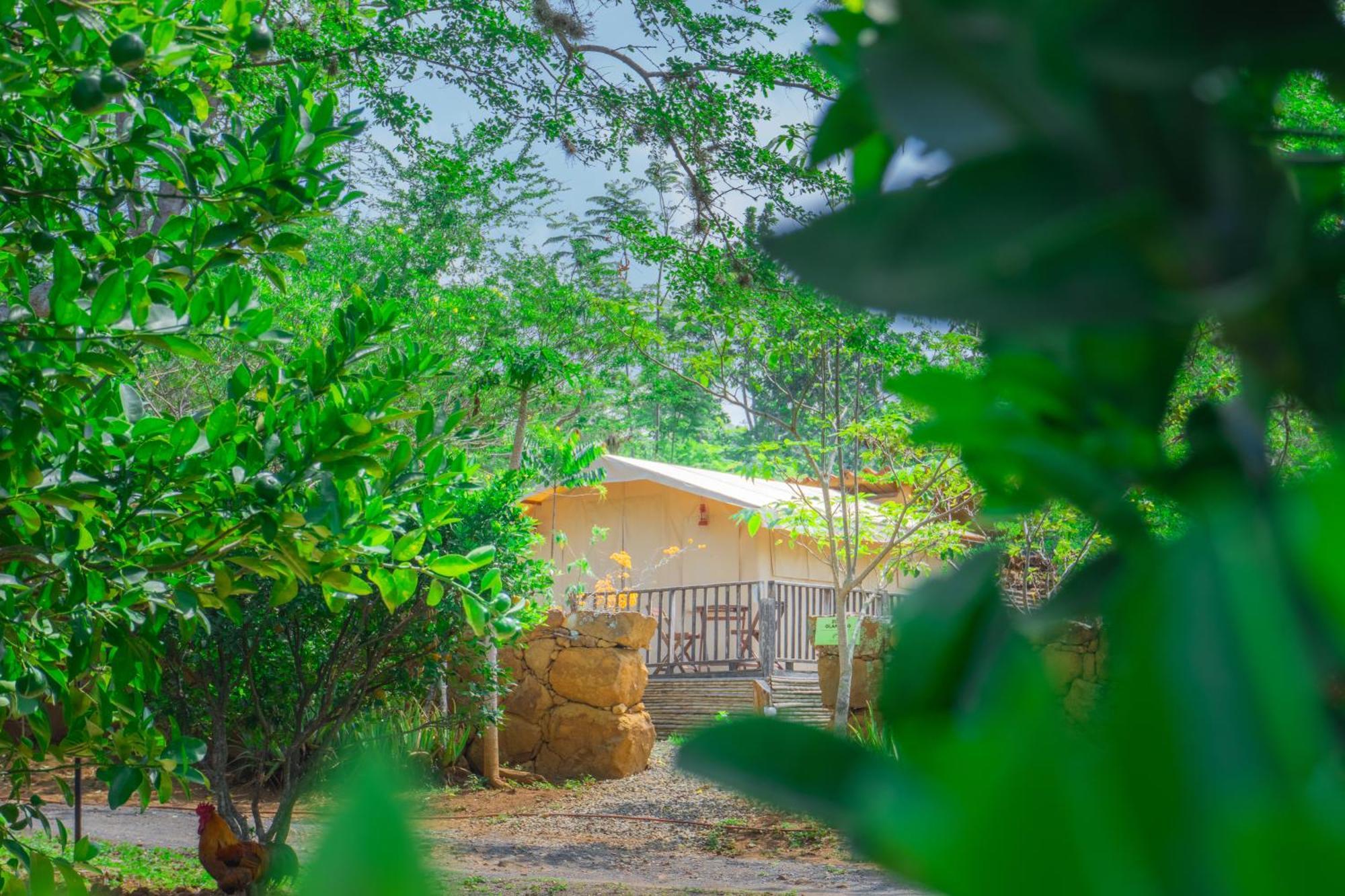 Hotel Hacienda Macedonia Barichara Dış mekan fotoğraf